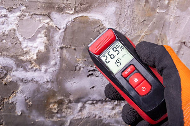 Best Mold Remediation  in Millbrook, AL